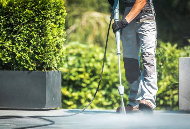 Best Restaurant Pressure Washing  in Ladera Heights, CA
