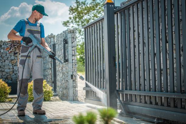 Best Driveway Pressure Washing  in Ladera Heights, CA