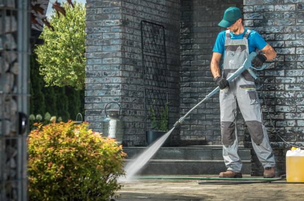 Best Sidewalk and Walkway Cleaning  in Ladera Heights, CA