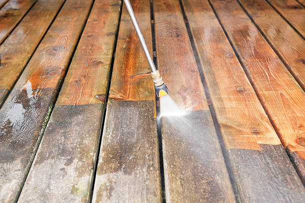 Best Animal Enclosure Cleaning  in Ladera Heights, CA